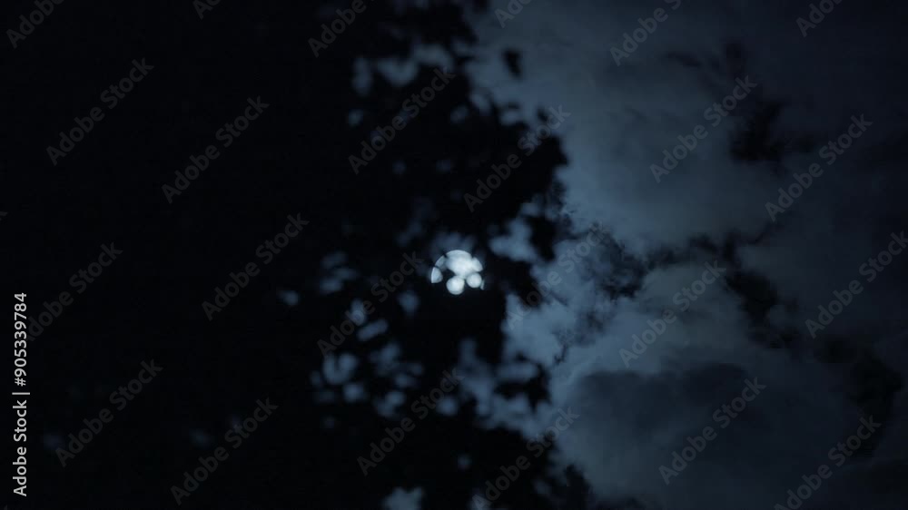 Enjoy a serene and ethereal moonlit night sky with a silhouetted tree on a mystical evening Enjoy a serene and ethereal moonlit night sky with a silhouetted tree on a mystical evening