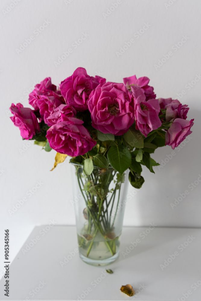 wilted roses in a vase wilted roses in a vase