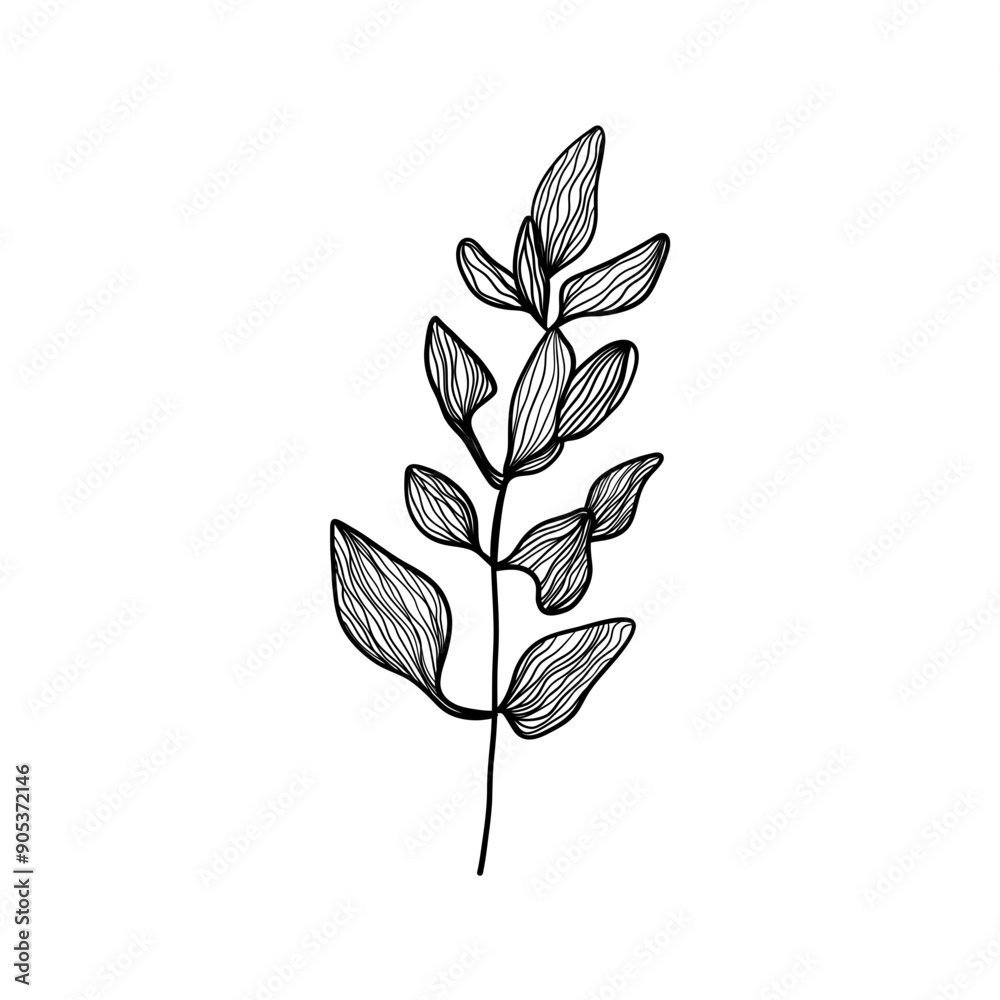 Obraz premium simple and elegant black line drawing of a plant with leaves on a transparent background.