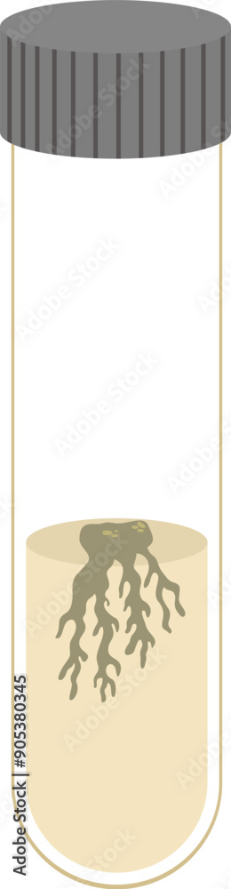 Plant tissue culture tube test illustration Plant tissue culture tube test illustration
