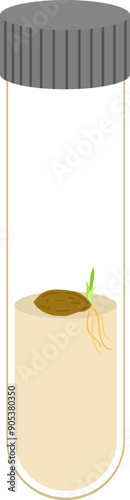 Plant tissue culture tube test illustration 