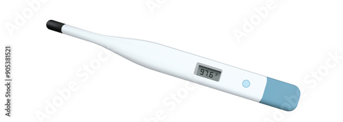 Digital Thermometer vector illustration on white isolated