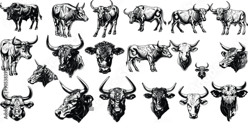 Bull set illustration ink sketch