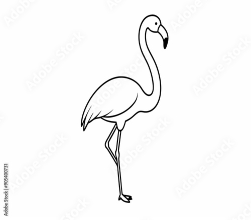 A vector of a flamingo bird