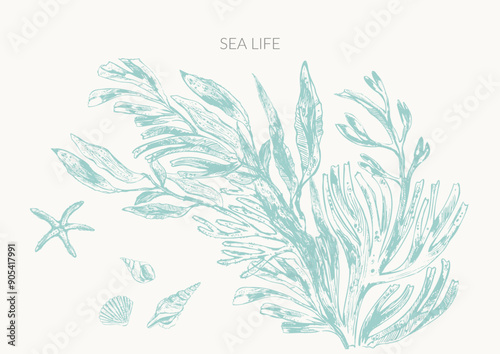 Sea life background in light green color with seaweed plants, laminaria, fucus, corals