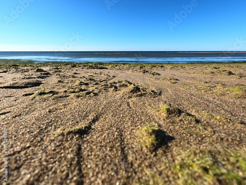 Fototapeta Naklejka Na Ścianę i Meble -  Coast of the Baltic Sea with sand dunes and blue sky