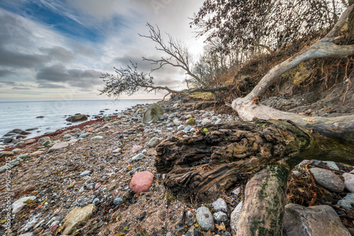 Fototapeta Naklejka Na Ścianę i Meble -  Die malerische Steilküste bei Katharinenhof auf der Ostseeinsel Fehmarn nach dem Sturm, im Herbst 2023