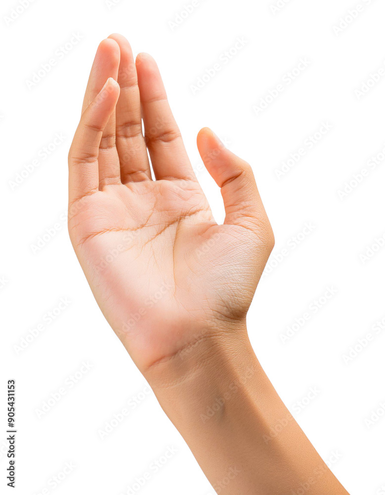 human hand in an open gesture, fingers slightly bent. The image highlights the natural skin tone and delicate lines of the hand cut out transparent isolated on white background PNG human hand in an open gesture, fingers slightly bent. The image highlights the natural skin tone and delicate lines of the hand cut out transparent isolated on white background PNG