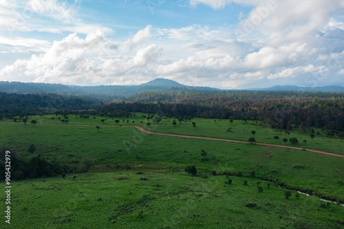 Aerial view of green meadow name 