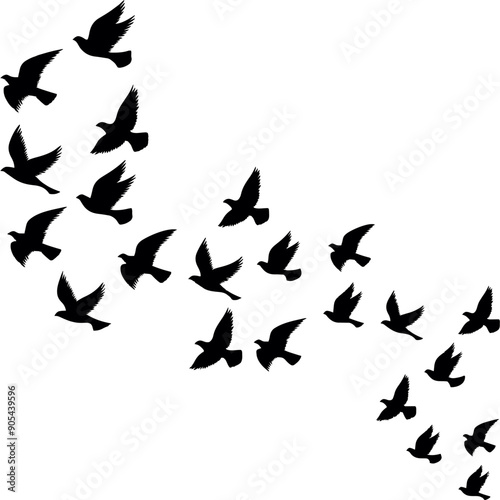 A flock of flying birds, swallow Flying Silhouettes, group of birds in the sky