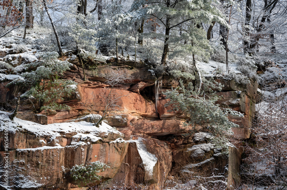 Obraz premium Rock wall and trees with snow in winter
