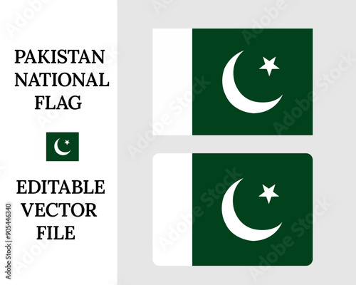 Pakistan flag vector, Pakistan flags realistic isolated white background vector graphics