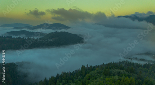 A landscape of rolling hills covered in dense forests, with a layer of fog settled in the valleys between the hills