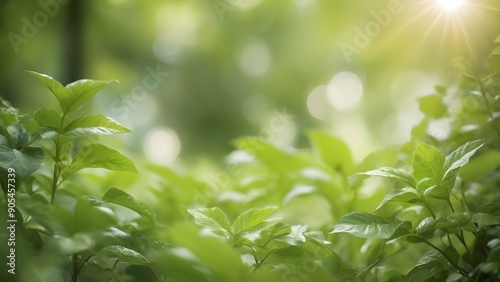 Beautiful natural spring summer defocused background with fresh lush foliage and bokeh in nature.