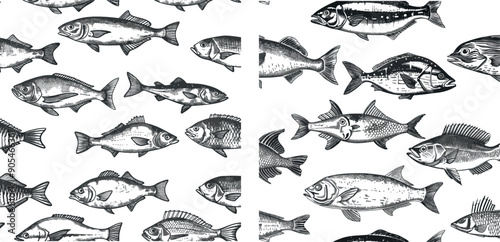 Different fishes drawn by hand, marine underwater life monochrome print wallpaper sketch modern texture. Perch, anchovies, herring, mackerel, seabass.