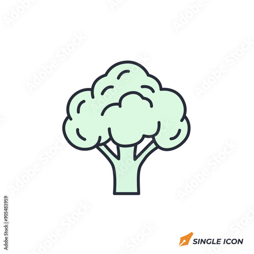 Broccoli icon vector illustration. Broccoli symbol isolated on white background.