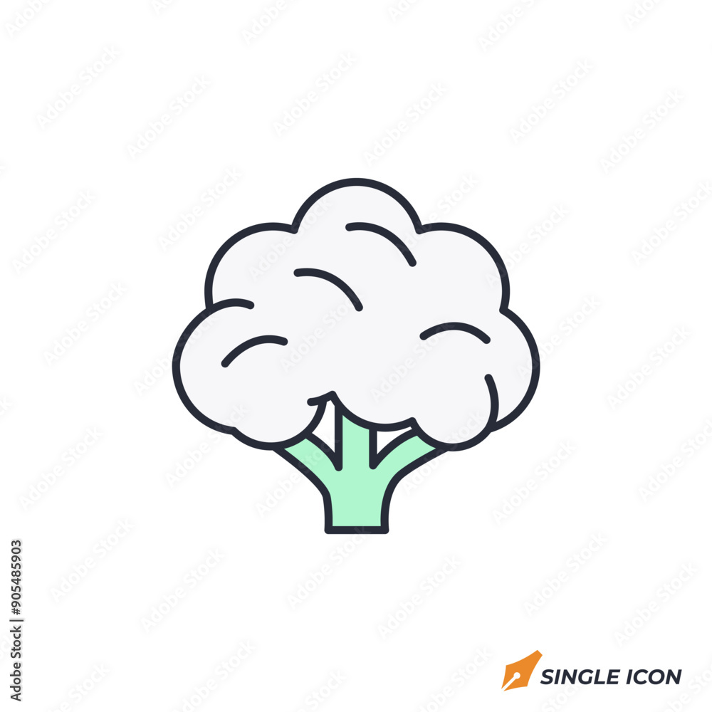 Cauliflower icon vector illustration. Cauliflower symbol isolated on white background Cauliflower icon vector illustration. Cauliflower symbol isolated on white background