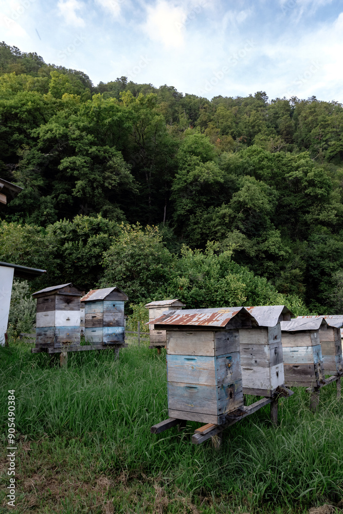 Caucasian village deep in the mountains with an apiary Caucasian village deep in the mountains with an apiary