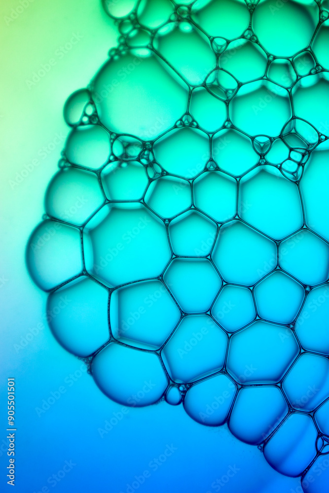 Fototapeta premium Abstract background bio technology, macro photography foam and water with gradient background. Molecule multicolor backgorund