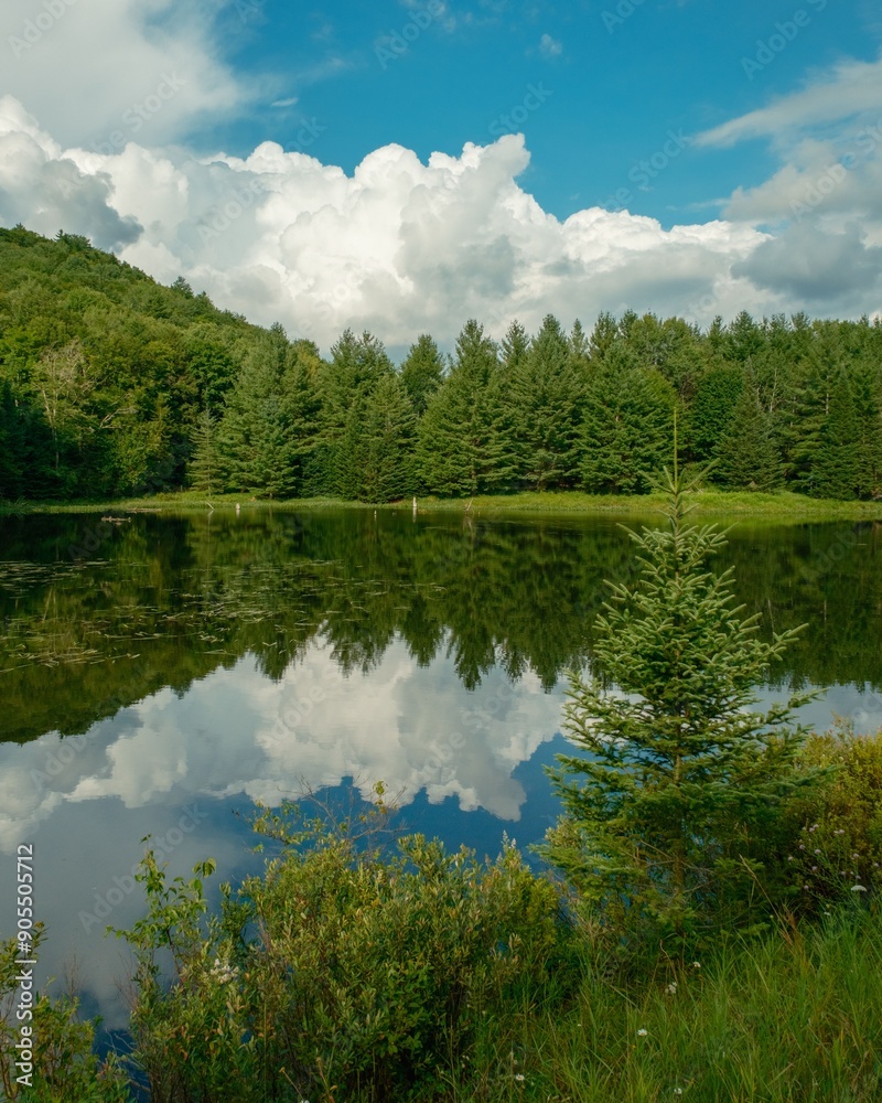 Fototapeta premium Lake Alma in the Adirondack Mountains, New York