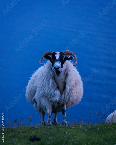 Sheepon Skye Island
