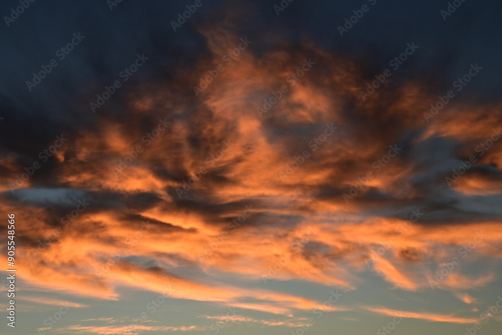 Fototapeta premium sunset in the sky