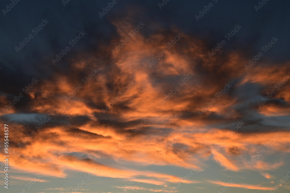 Fototapeta premium sunset in the sky