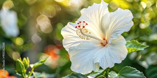 White hibiscus rosa sinensis flower blooming in artificial intelligence generation