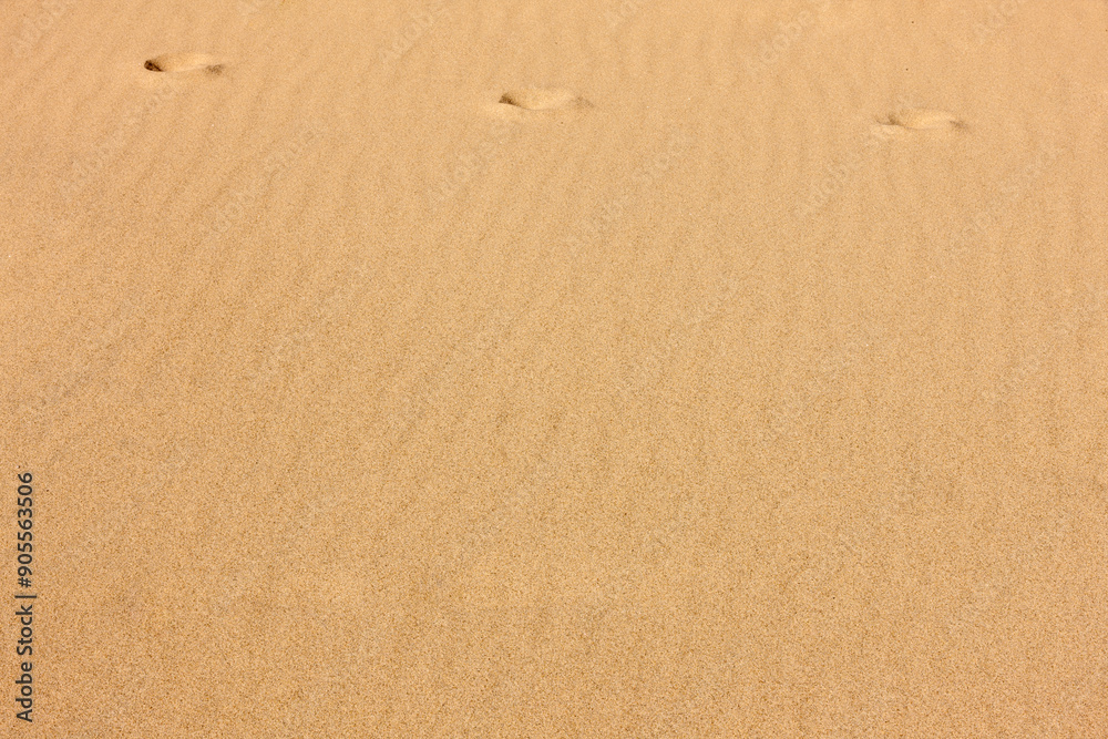 Wind-driven rippled sand with three deer hoof prints in mid-January at Kohler-Andrae State Park, Sheboygan, Wisconsin Wind-driven rippled sand with three deer hoof prints in mid-January at Kohler-Andrae State Park, Sheboygan, Wisconsin