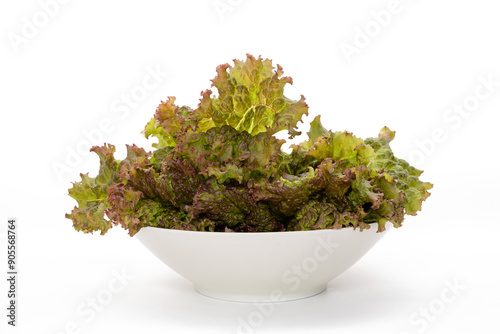 lettuce leaves in white bowl