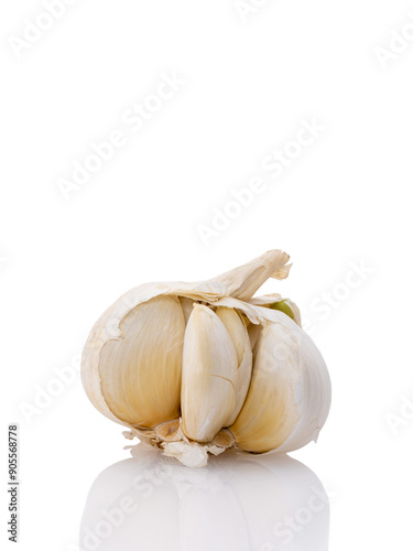 young garlic