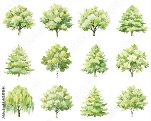 trees set watercolor  illustration, hand drawn for architecture or decorative, isolated on white background.