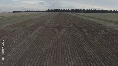 Plowed field in autumn