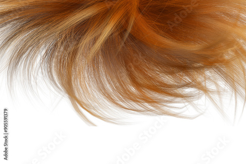 Brown wavy hair, Closeup on luxurious curly brown hair with highlights.