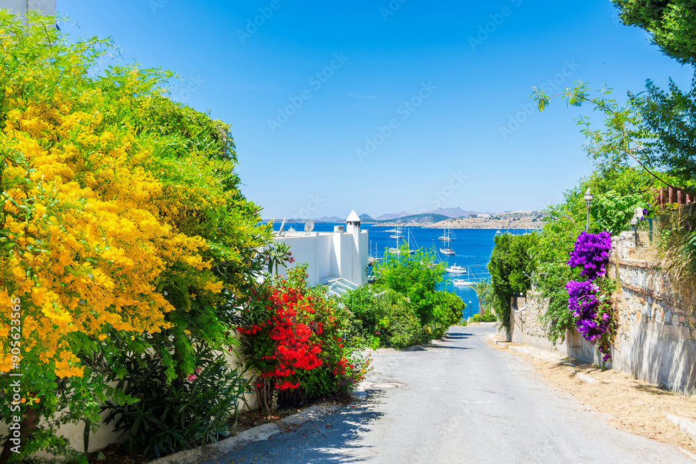 Bodrum street view in Turkey