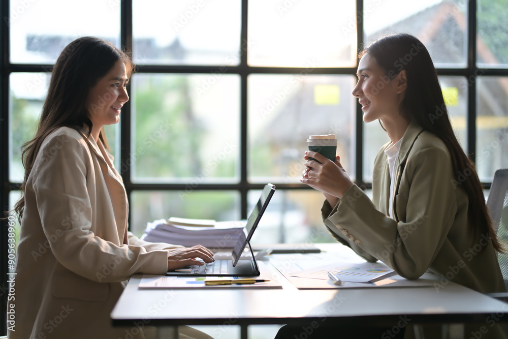 Two Professional Women Having a Business Meeting in a Modern Office Setting with Natural Light Two Professional Women Having a Business Meeting in a Modern Office Setting with Natural Light