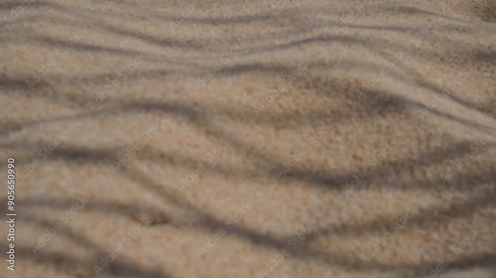 Volleyball net on the sand background. close-up . Shadow from the net Volleyball net on the sand background. close-up . Shadow from the net