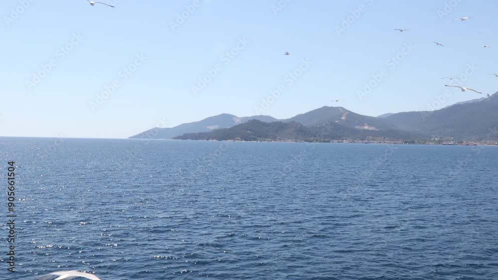 Scenic View From a Ferry Approaching Thassos Island, Greece. Seagulls Flying Around, Crystal-clear Blue Waters and Mountainous Landscape, Perfect for Capturing Summer Vacation and Travel Moments Scenic View From a Ferry Approaching Thassos Island, Greece. Seagulls Flying Around, Crystal-clear Blue Waters and Mountainous Landscape, Perfect for Capturing Summer Vacation and Travel Moments