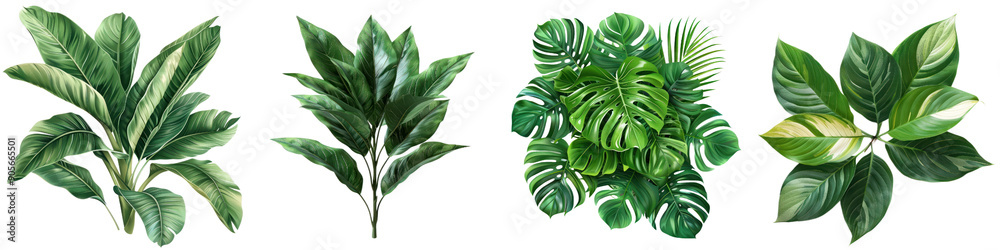 A collection of vibrant green tropical leaves showcasing lush foliage for decorative and design use. transparent background A collection of vibrant green tropical leaves showcasing lush foliage for decorative and design use. transparent background