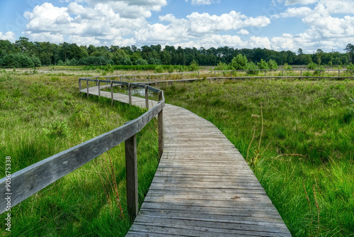 Schöner alter Holzsteg durch die Moorlandschaft im Diersfordter Wald im Sommer photo