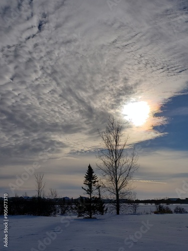 sunset in winter