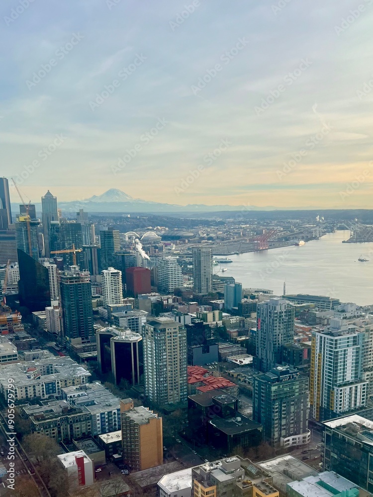 Fototapeta premium city skyline | san francisco cityscape