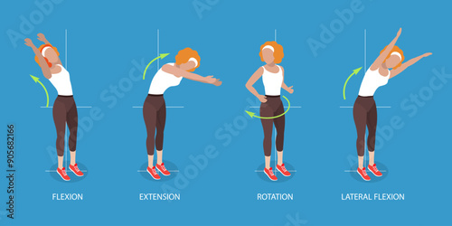 3D Isometric Flat Vector Illustration of Spine Movements, Movement and Action for Spinae Muscles Health