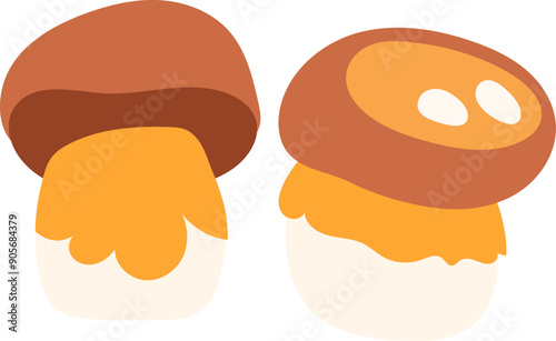 Mushroom boletus vector illustration isolated white background. Forest fungi harvest