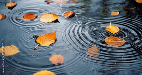 Autumn Leaves Floating on Calm Water With Ripples