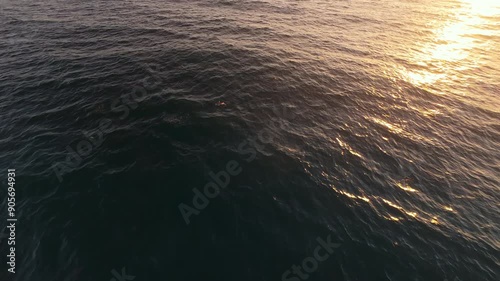 A stunning 4K aerial shot by an FPV drone captures pelicans soaring over the serene Malibu coastline at sunset, highlighting the connection between wildlife and nature in California, USA