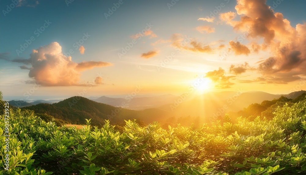 natural background blurring warm colors and bright sun light bokeh or christmas background green energy at sky sunny color orange light patterns plain abstract flare evening clouds blur