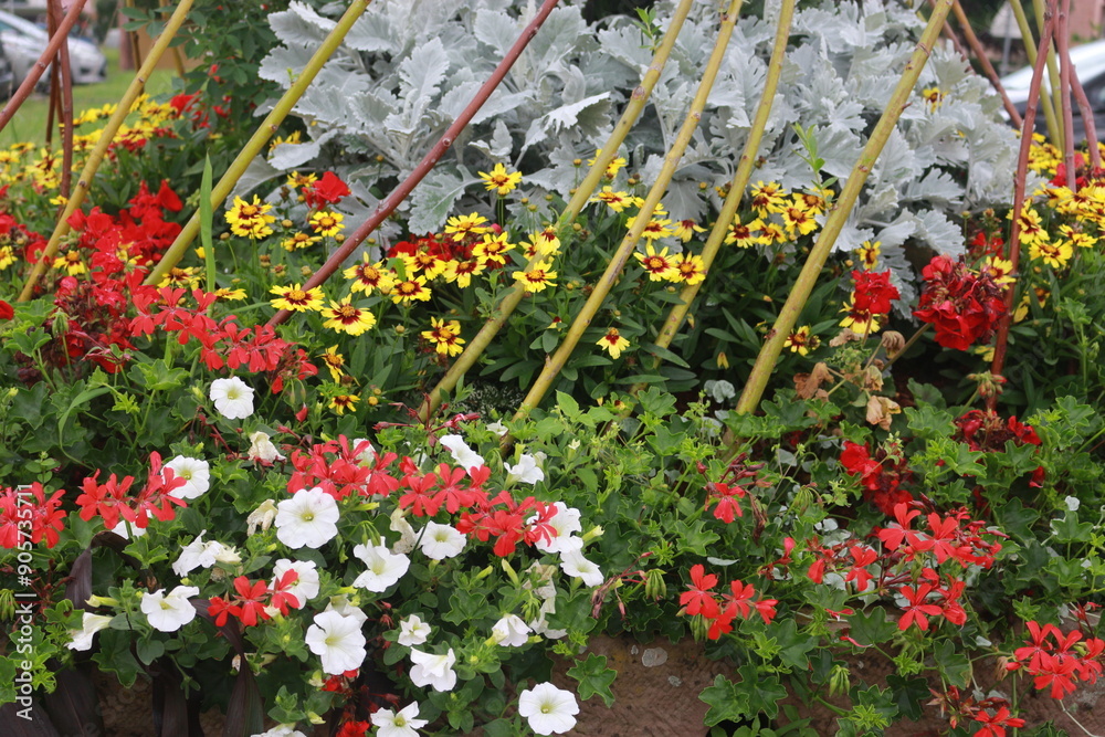 Fototapeta premium flores