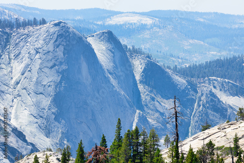 Half dome and Pines, Olmsted point, Yosemite National park, California USA photo