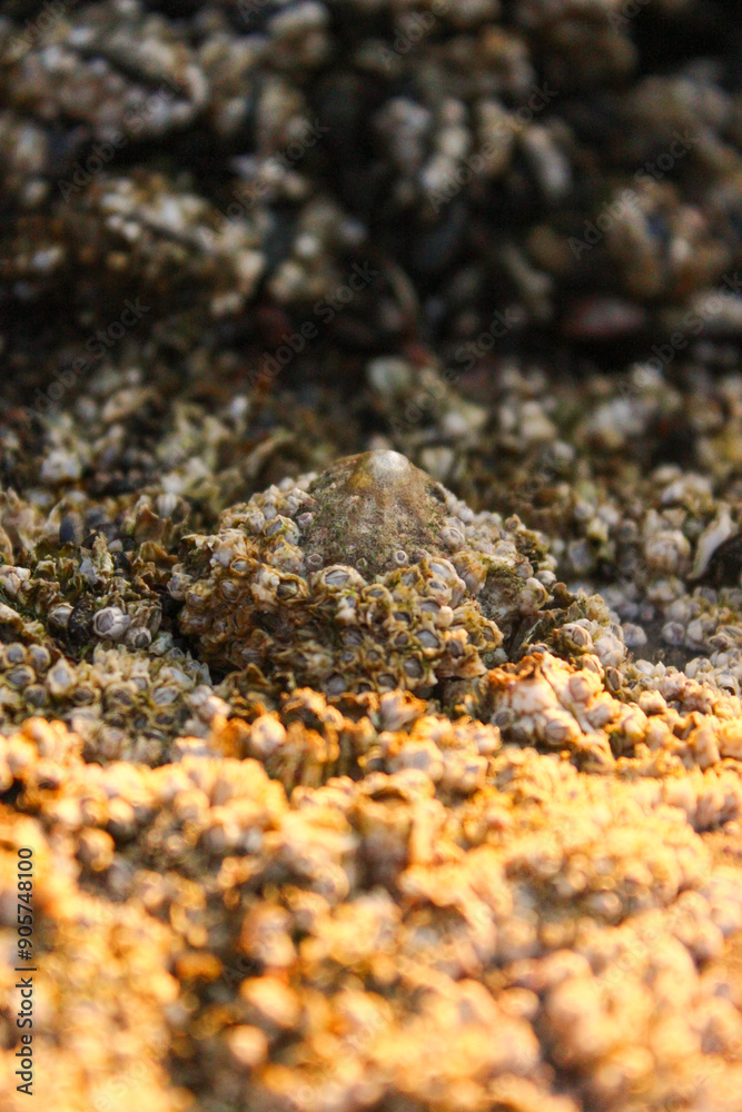 Felsen am Meer Felsen am Meer
